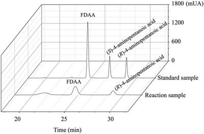 A Sustainable Approach for Synthesizing (R)-4-Aminopentanoic Acid From Levulinic Acid Catalyzed by Structure-Guided Tailored Glutamate Dehydrogenase